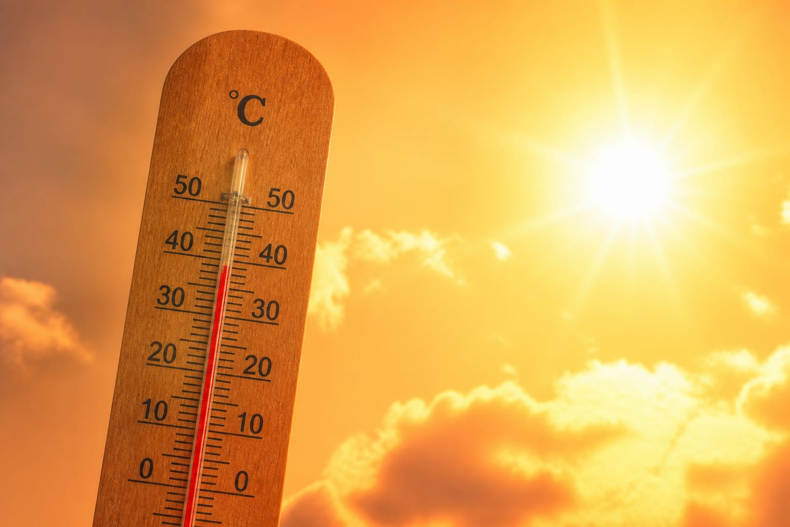 Canicula poate suprasolicita inima chiar și la persoanele sănătoase, iar decesele provocate de căldură au crescut cu peste 50%