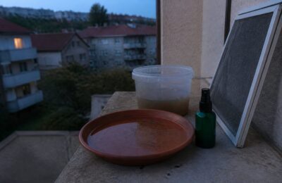 Primul deces de West Nile în Olanda și cum te protejezi acasă prin gesturi simple