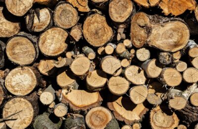 Lemnul de foc ar trebui să aibă sub 20% umiditate. Ce tipuri sunt potrivite pentru sobă
